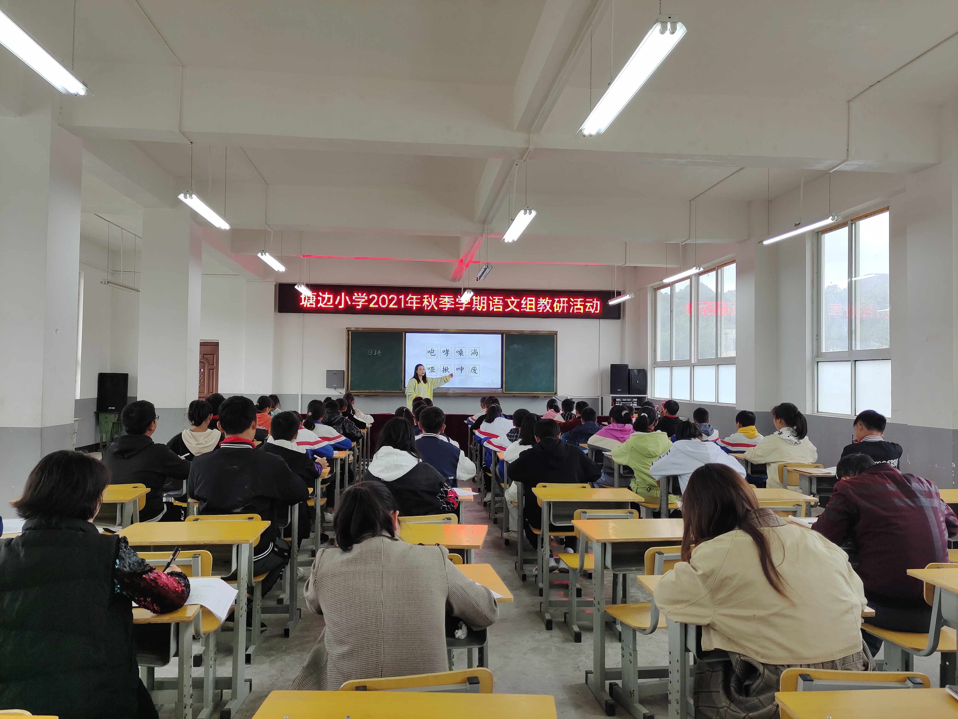 图片1