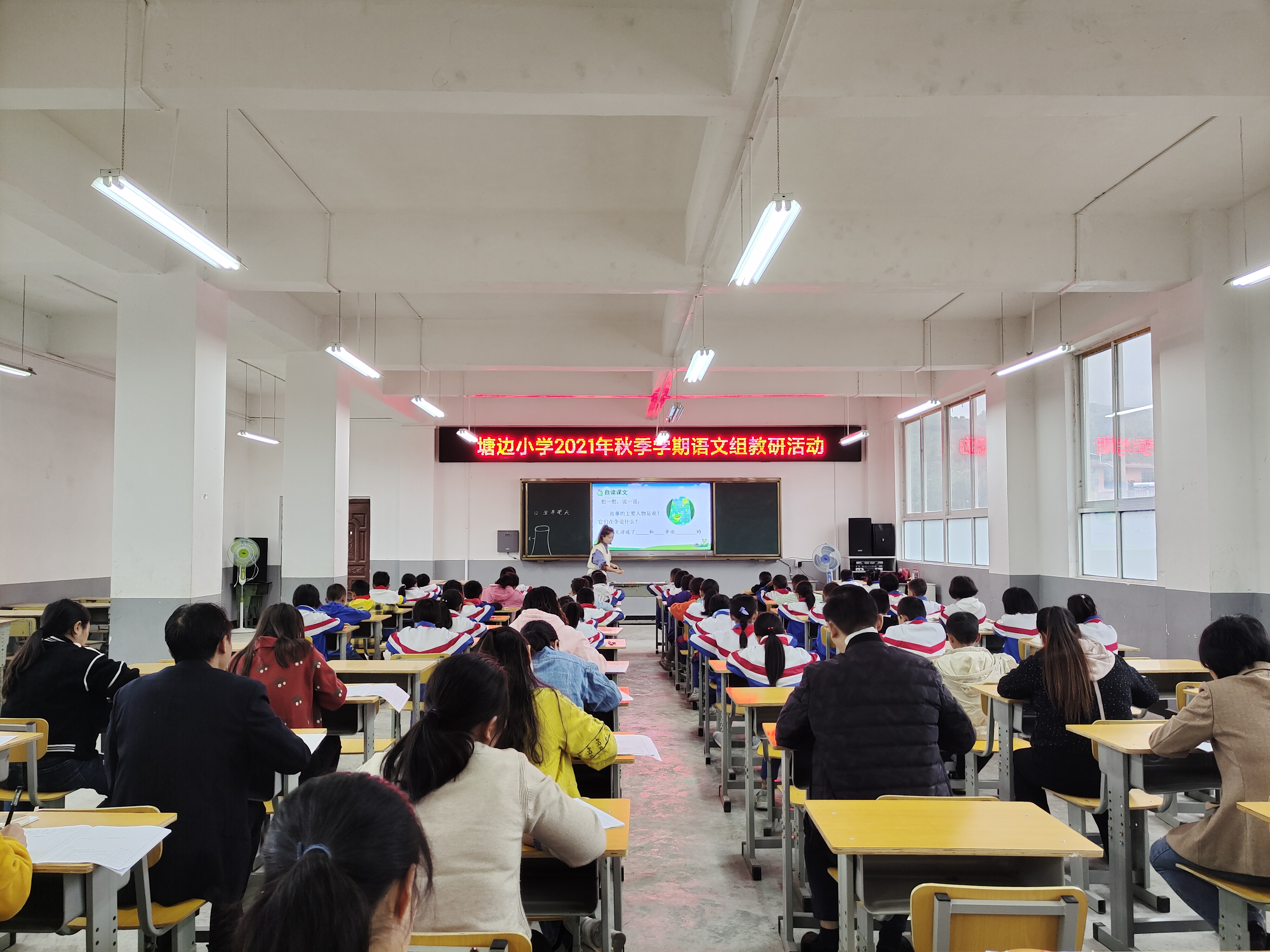 图片1