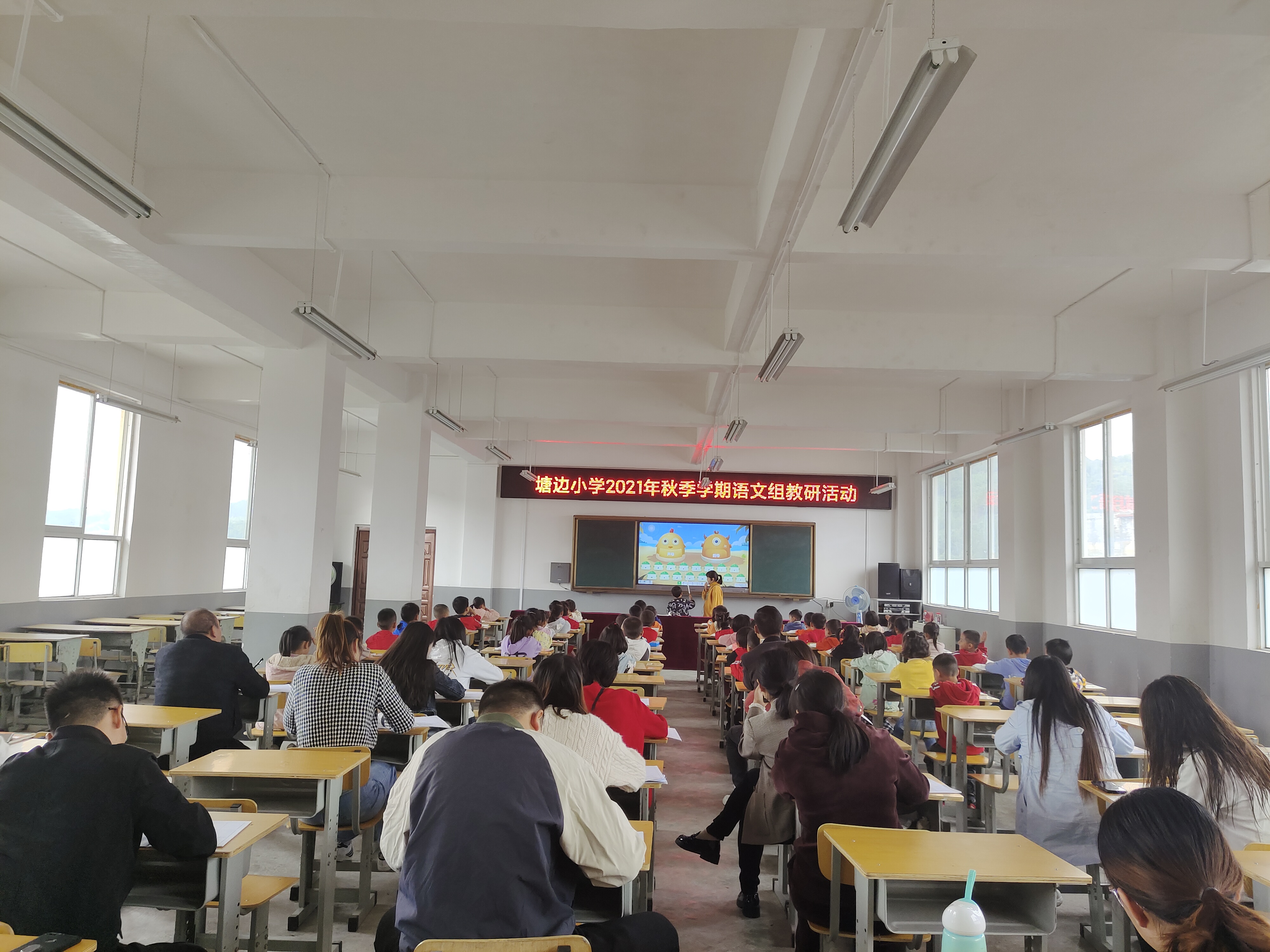 图片1